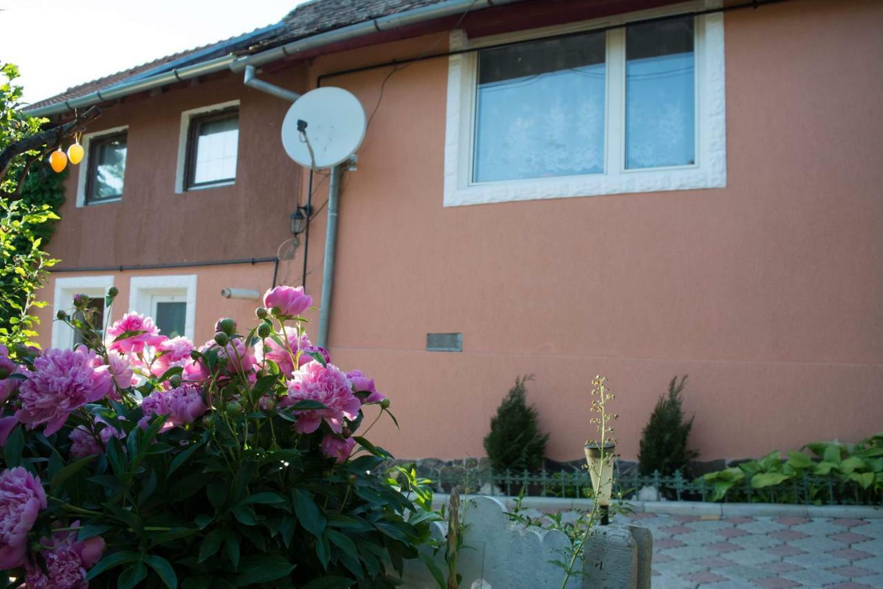 Casa Ana Hotel Biertan Eksteriør billede