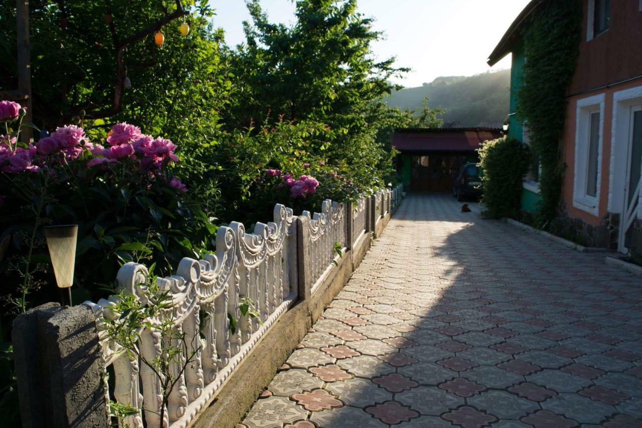 Casa Ana Hotel Biertan Eksteriør billede