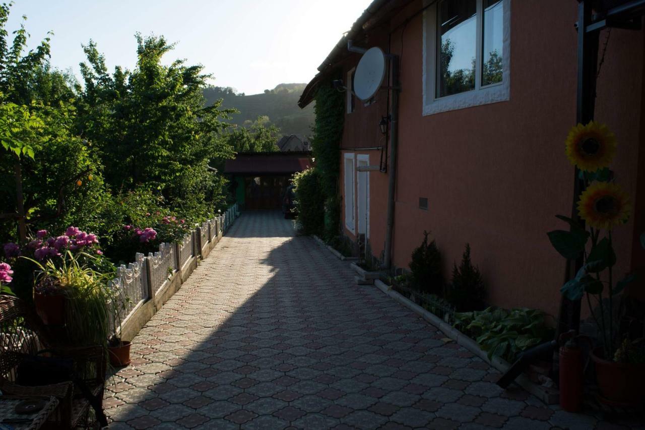 Casa Ana Hotel Biertan Eksteriør billede